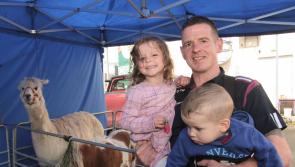 IN PICTURES: Féile 23 'Big Bog Barbeque' in Pilot's Row