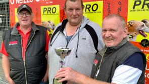 Brandywell Greyhounds: Oliver’s Fagans Plazzo spring heeled in Gazelle Sprint