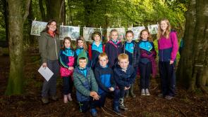 County Derry school pupils explore 10,000 years of human settlement in Mountsandel Woods