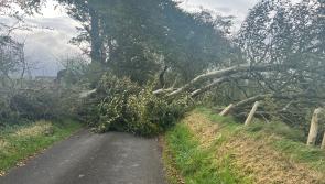 STORM BABET: Fallen tree blocks road close to County Derry village