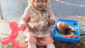 IN PICTURES: Derry Credit Union Family Fun Day