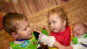 IN PICTURES: Féile 23 and SureStart Edenballymore's Halloween Family Fun Day