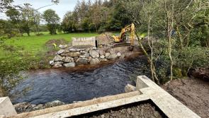 New footstick bridge in construction near Learmount Forest
