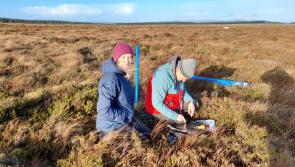 Work on Altikeeragh bog restoration project halted