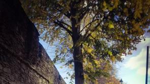 Friends of Derry Walls holding Annual General Meeting