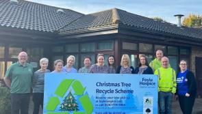Foyle Hospice Christmas Tree Recycle Scheme launched