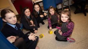 IN PICTURES: Derry's Hollybush Primary School celebrate Open Day
