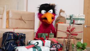 Derry households urged to make plastic promise this Christmas
