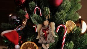 A guide to recycle your Christmas trees