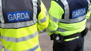 Garda&iacute; thank public after missing boys found safe and well