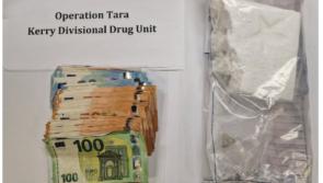 Man arrested after garda&iacute; seize firearms, cocaine and cash in rural area search