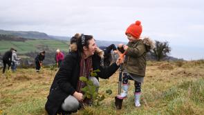 NI Science Festival kicks off with exciting events in County Derry