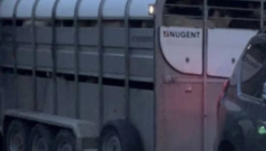 Appeal after cattle trailer stolen from farmyard