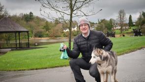 Appeal issued for responsible dog ownership at Mid Ulster’s public parks 