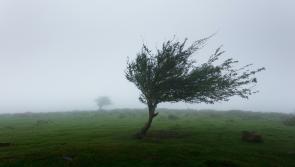 Met Éireann issues warnings with five counties pinpointed for battering 