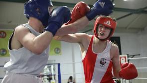 IN PICTURES: Derry Boxing Championships held in Oakleaf Boxing Club
