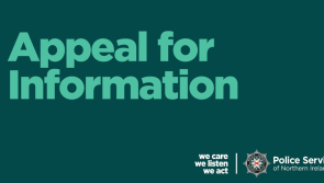 Police investigating the theft of 13 pregnant ewes in Claudy are appealing for information
