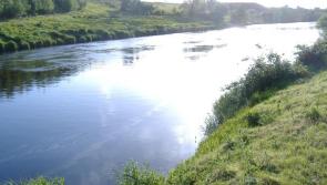 Suspension of Native Oyster Fishery in Foyle area extended