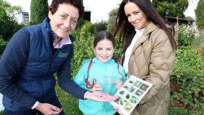 Derry school wins Wild Days Out competition