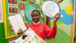 Derry pupil wins Acorn Farm Planet Promise Competition