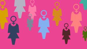 Foyle Women's Information Network's 30th Birthday