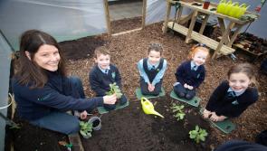 IN PICTURES: New polytunnel for pupils of Hollybush PS