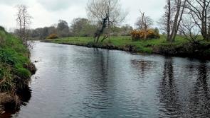 Northern Irish and County Derry rivers fail to meet good overall status