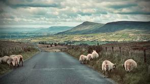 'We don’t want any more of these wind farms' – Dungiven public meeting hears