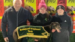 Flyer gathered no Moss when racing to victory at Brandywell