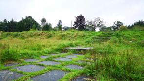 Suspected rat poison found at same grounds where dead sparrowhawk was discovered