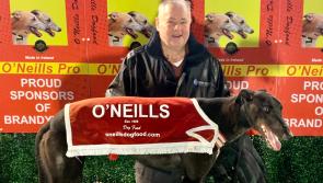 Derry Greyhounds: Connor and Mallon doubles at Brandywell