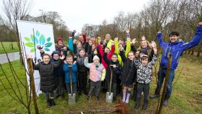 Derry school pupils help sow the seeds of biodiversity