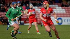 League final is a stepping stone for Derry hurlers