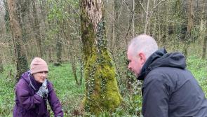 Hare’s Corner Cooperative launches new forest project