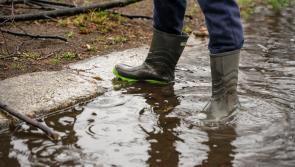 McGlone calls for farmers’ support after heavy rainfall