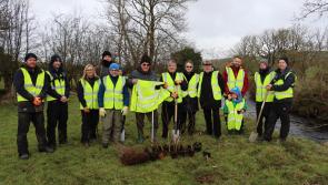 Loughs Agency Collaborates with Enagh Seniors Group and River Faughan Anglers for Tree Planting Initiative