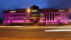 Derry council buildings to go pink to mark Global Intergenerational Week 2024