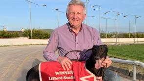 Greyhounds: 1,000 wins and counting for Derry man William Mullan