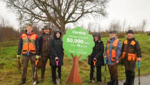 Centra Claudy sponsor the planting of 300 trees in the Faughan Valley to support biodiversity