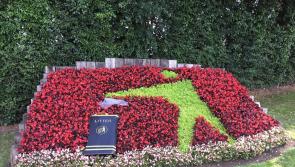 Flowerbed and Planting Sponsorship Opportunities