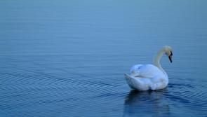 Public invited to share views on 10-Year Lough Neagh Resilience Plan