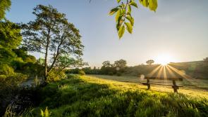 The Woodland Trust invites you to make nature your playground this summer