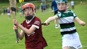 IN PICTURES: Sean Mellon Festival of Hurling at Na Magha