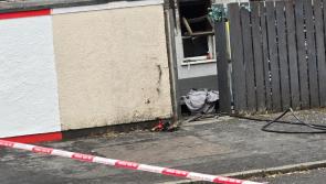Man arrested after three dogs die in Derry arson attack