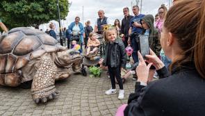 Adventures for all the family await at Derry's Foyle Maritime Festival