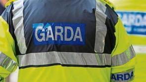 Motorcyclist, 30s, dies after crash in Co Wicklow