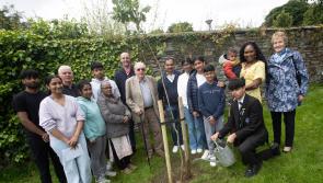 ‘Student Trees’ planted in memory of Derry pupils Reuven and Sebastian