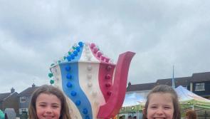 IN PICTURES: Great day had at Lincoln Courts Summer Fun Day