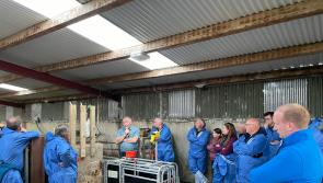 Attendees at farm walk in Park village told that attention to detail improves profit from pasture