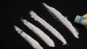 Derry man took undercover cops to €2,500 drugs cache at Rory Gallagher Festival